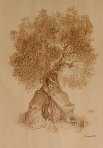 Gran Galà - cm 50x70